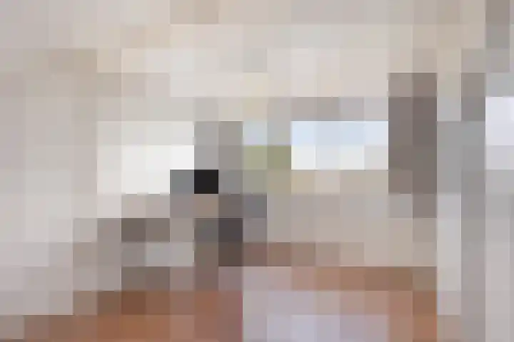 Alzettehof 20 Veldhoven thumbnail 31