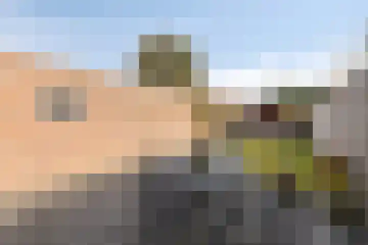 Alzettehof 20 Veldhoven thumbnail 33