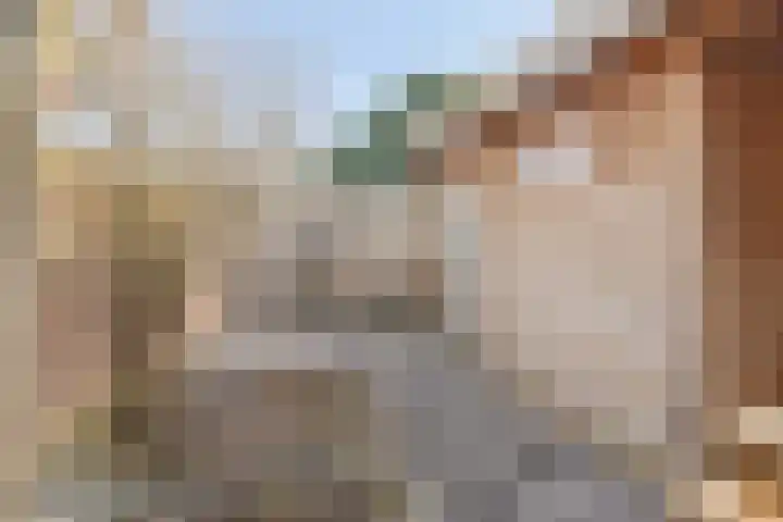 Alzettehof 20 Veldhoven thumbnail 35