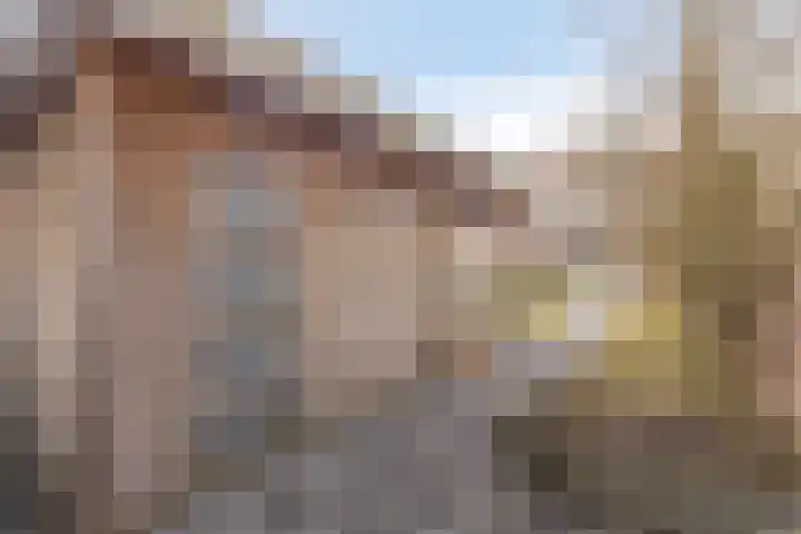 Alzettehof 20 Veldhoven thumbnail 36