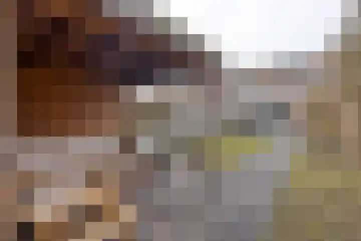 Alzettehof 20 Veldhoven thumbnail 37