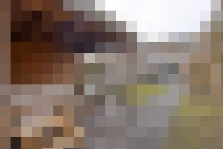 Alzettehof 20 Veldhoven thumbnail 5