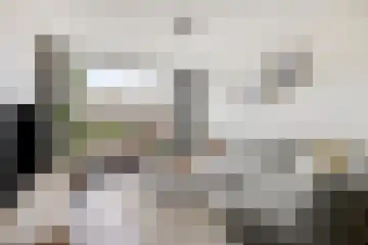 Alzettehof 20 Veldhoven thumbnail 8