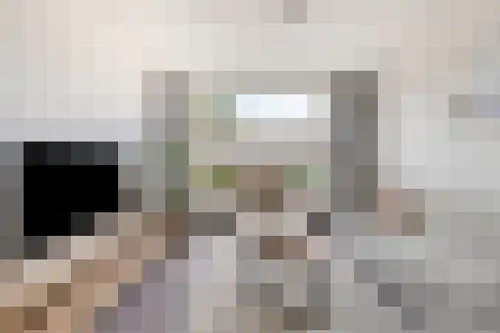 Alzettehof 20 Veldhoven thumbnail 9