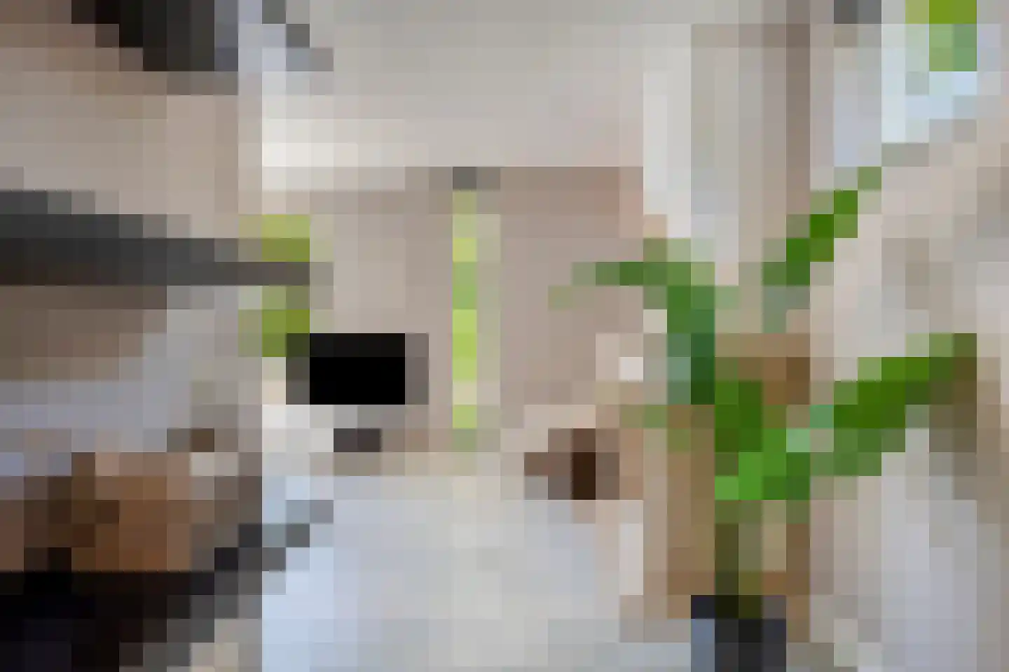 Alzira 17 Eindhoven thumbnail 20