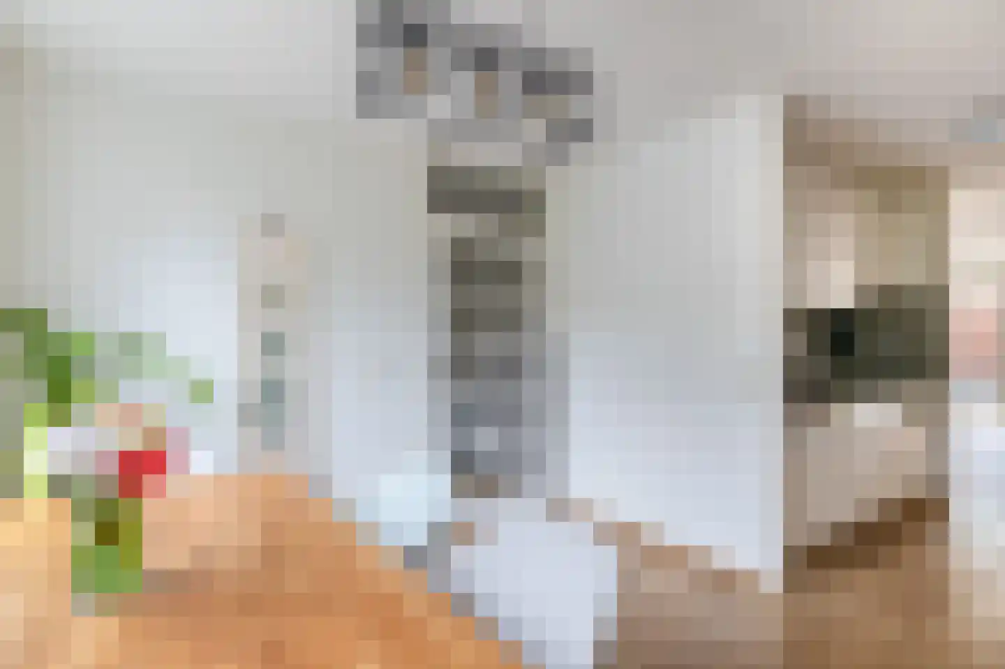 Alzira 20 Eindhoven thumbnail 15