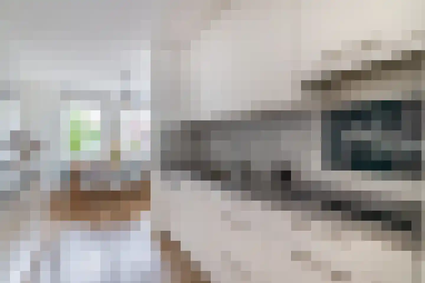 Alzira 20 Eindhoven thumbnail 17
