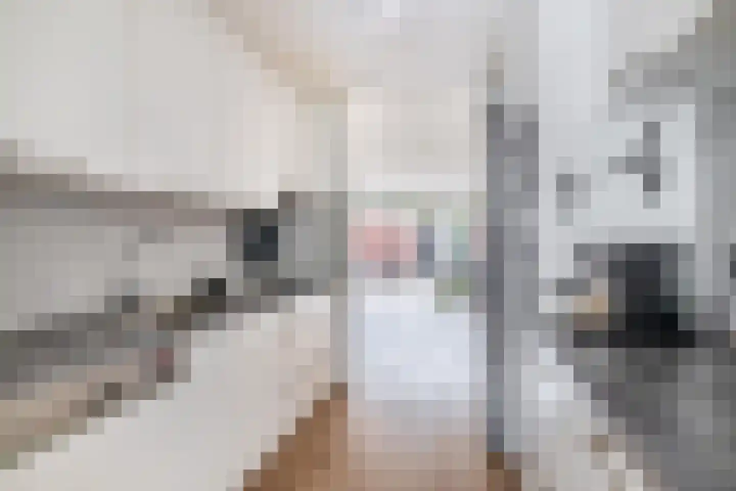 Alzira 20 Eindhoven thumbnail 19