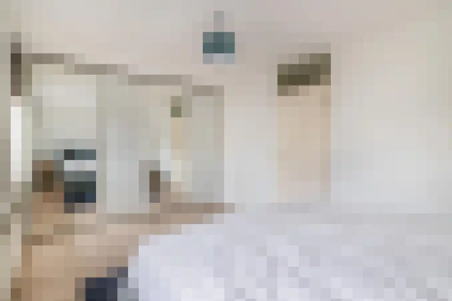 Alzira 20 Eindhoven thumbnail 24