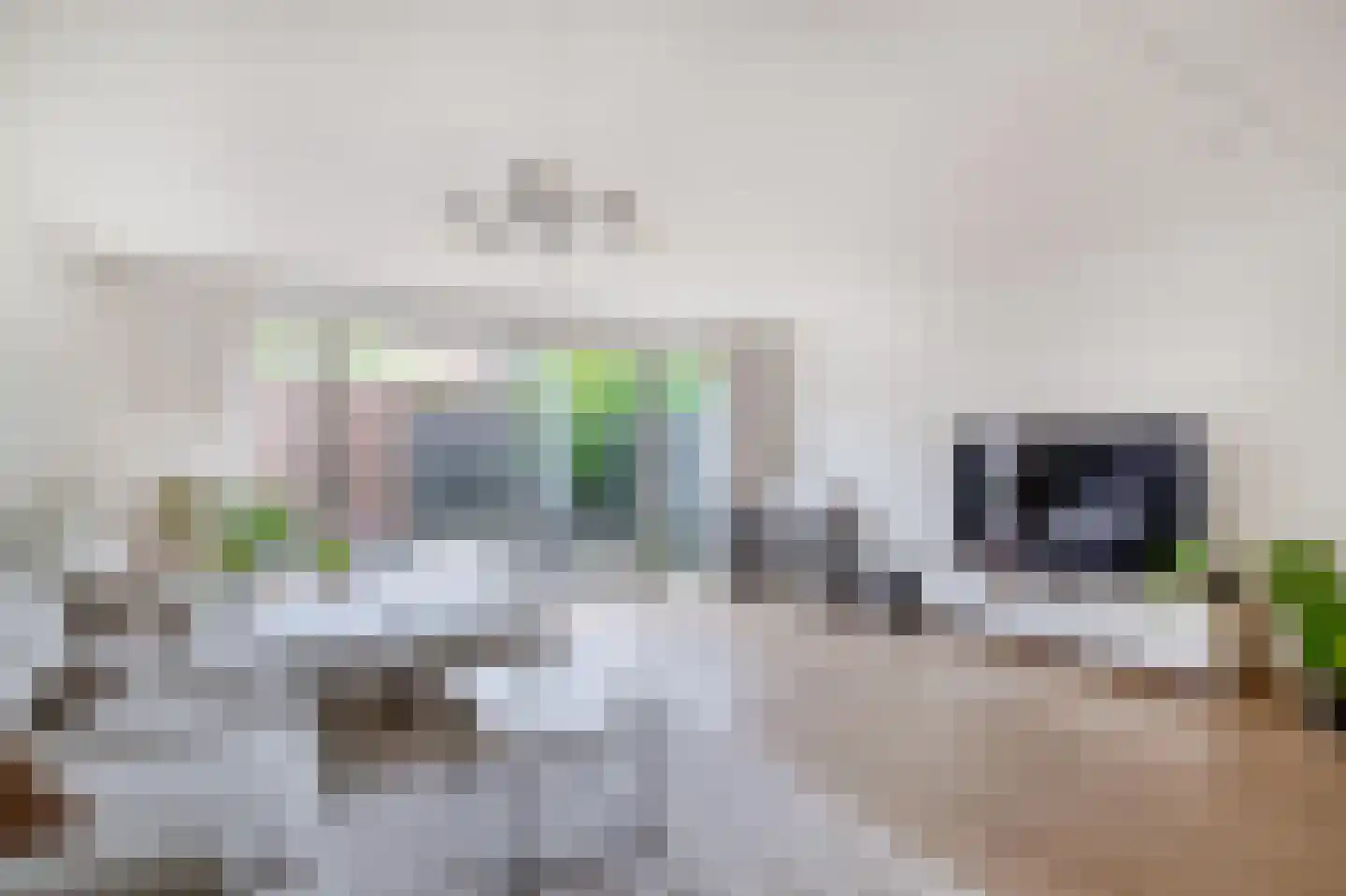 Alzira 20 Eindhoven thumbnail 9
