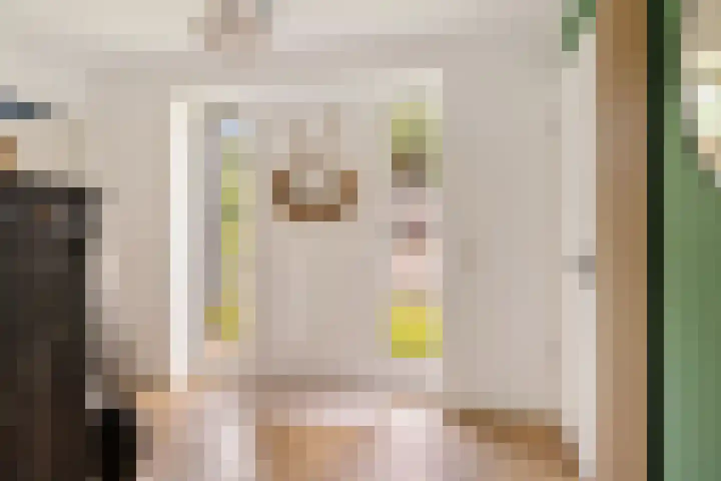 AM de Jongstraat 22 Nieuw-Vossemeer thumbnail 10