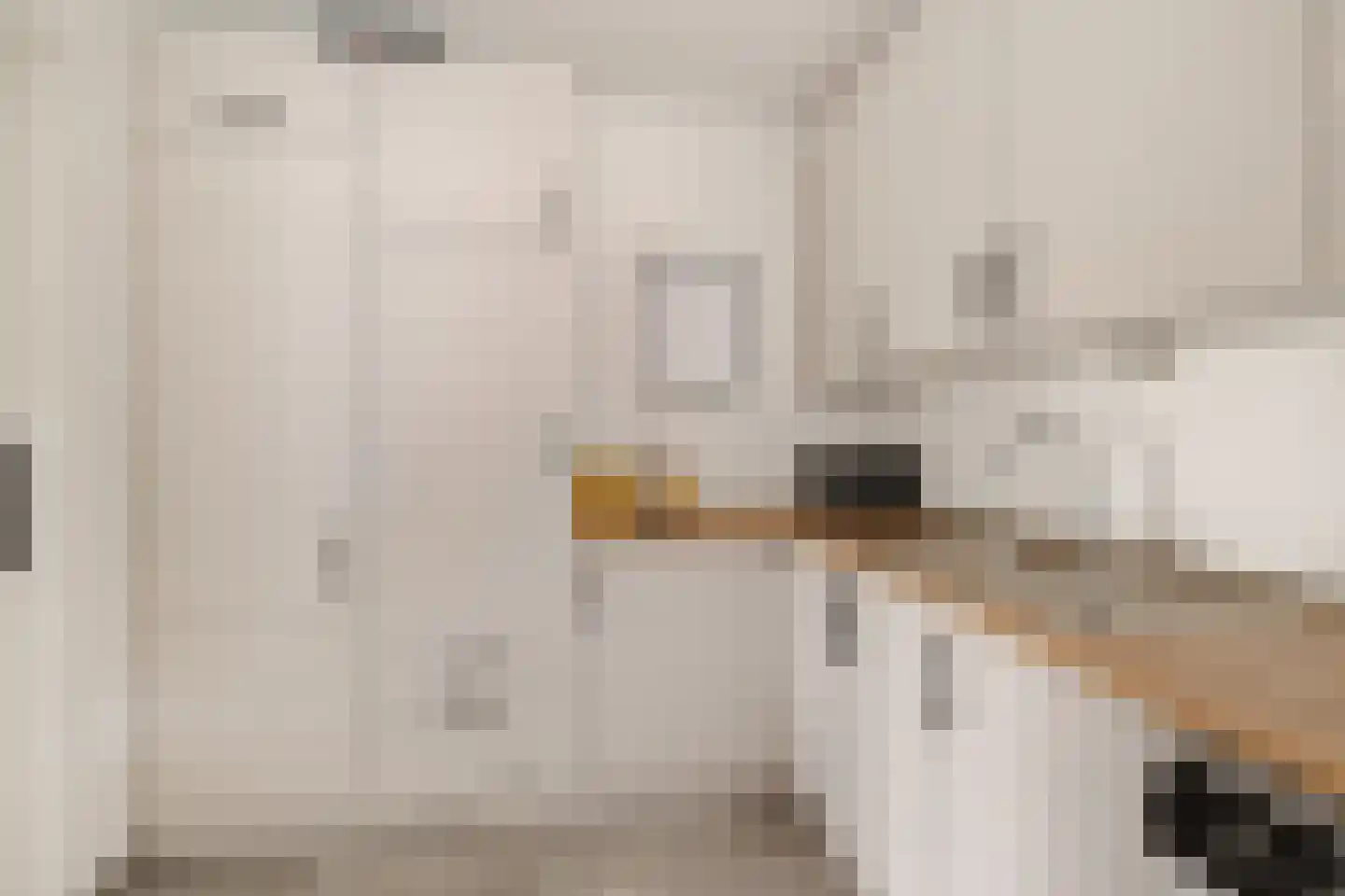 AM de Jongstraat 22 Nieuw-Vossemeer thumbnail 23