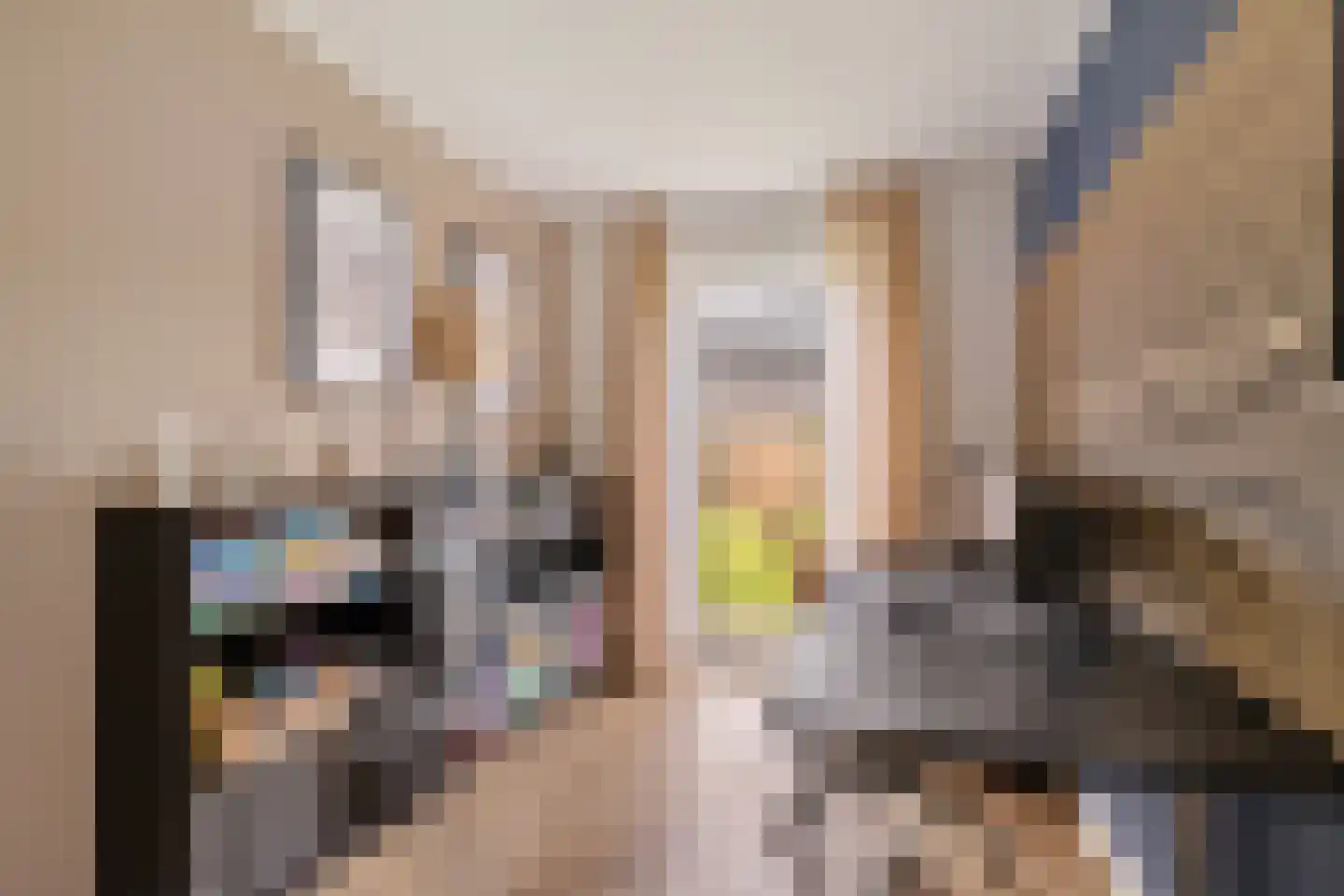 AM de Jongstraat 22 Nieuw-Vossemeer thumbnail 24