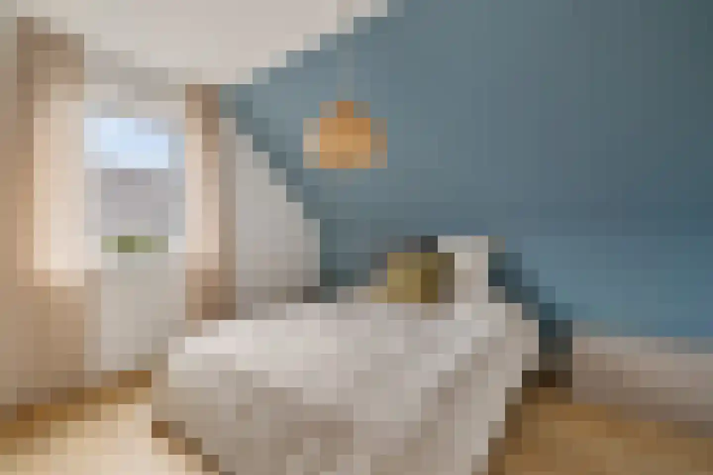 AM de Jongstraat 22 Nieuw-Vossemeer thumbnail 26