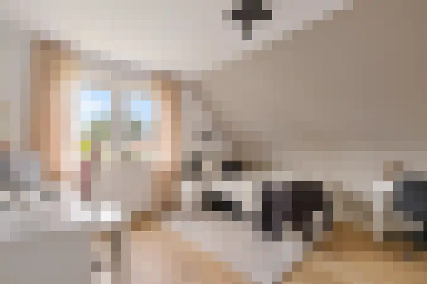 AM de Jongstraat 22 Nieuw-Vossemeer thumbnail 33