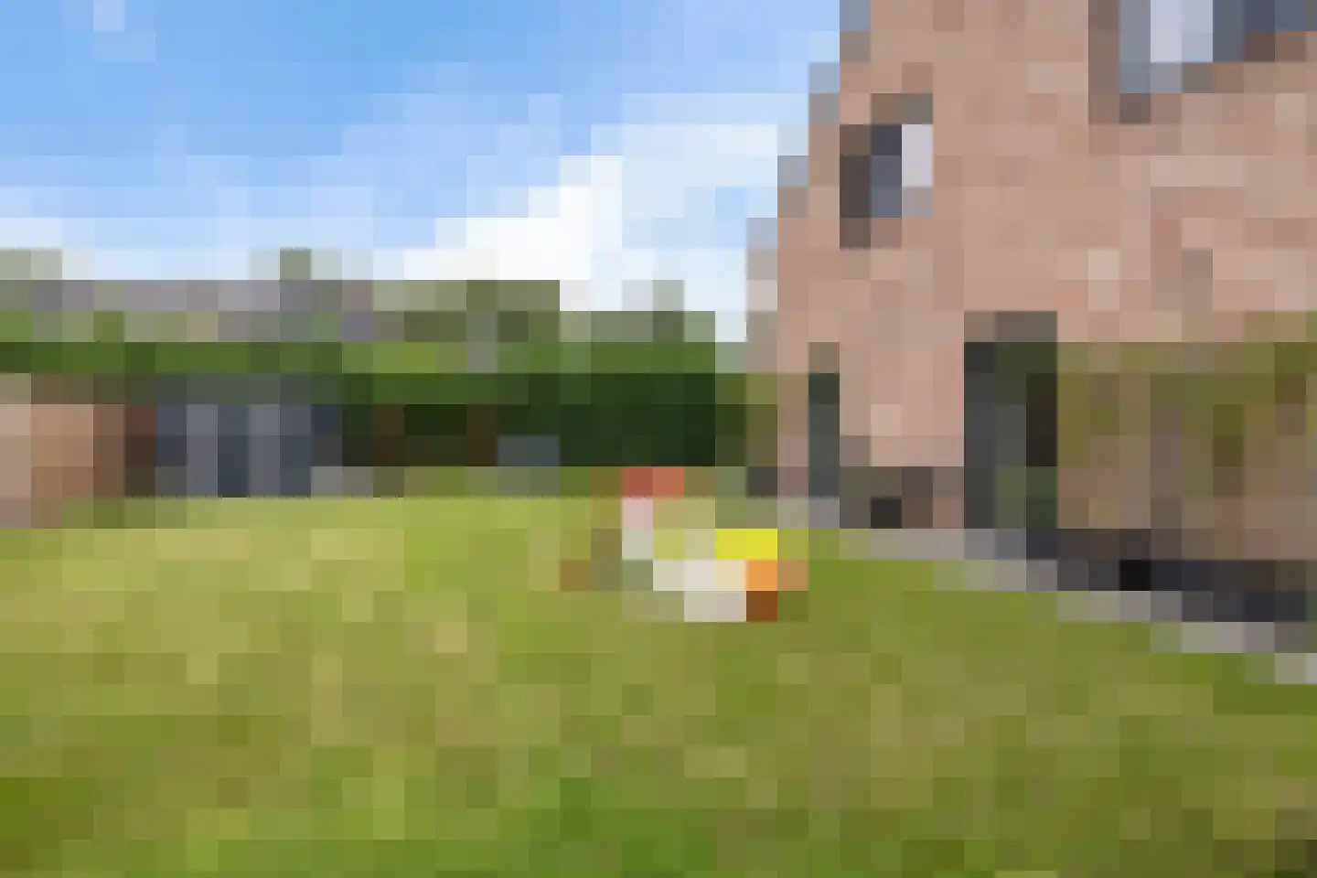 AM de Jongstraat 22 Nieuw-Vossemeer thumbnail 40