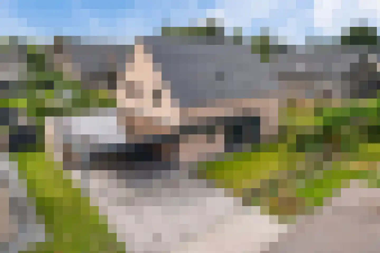 AM de Jongstraat 22 Nieuw-Vossemeer thumbnail 47