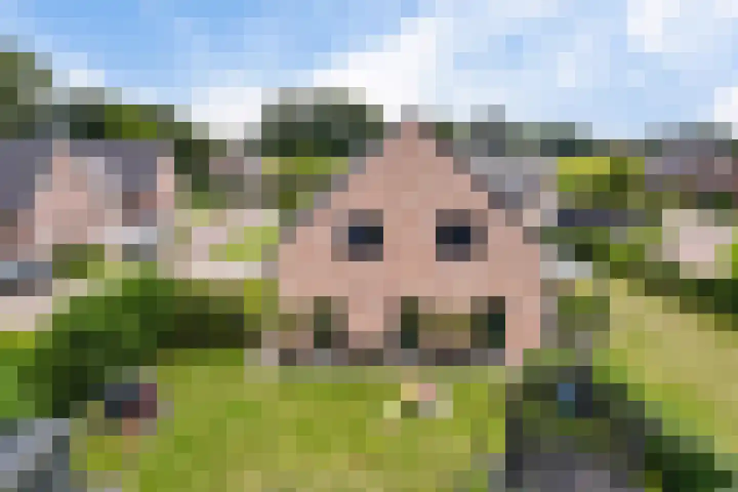 AM de Jongstraat 22 Nieuw-Vossemeer thumbnail 49