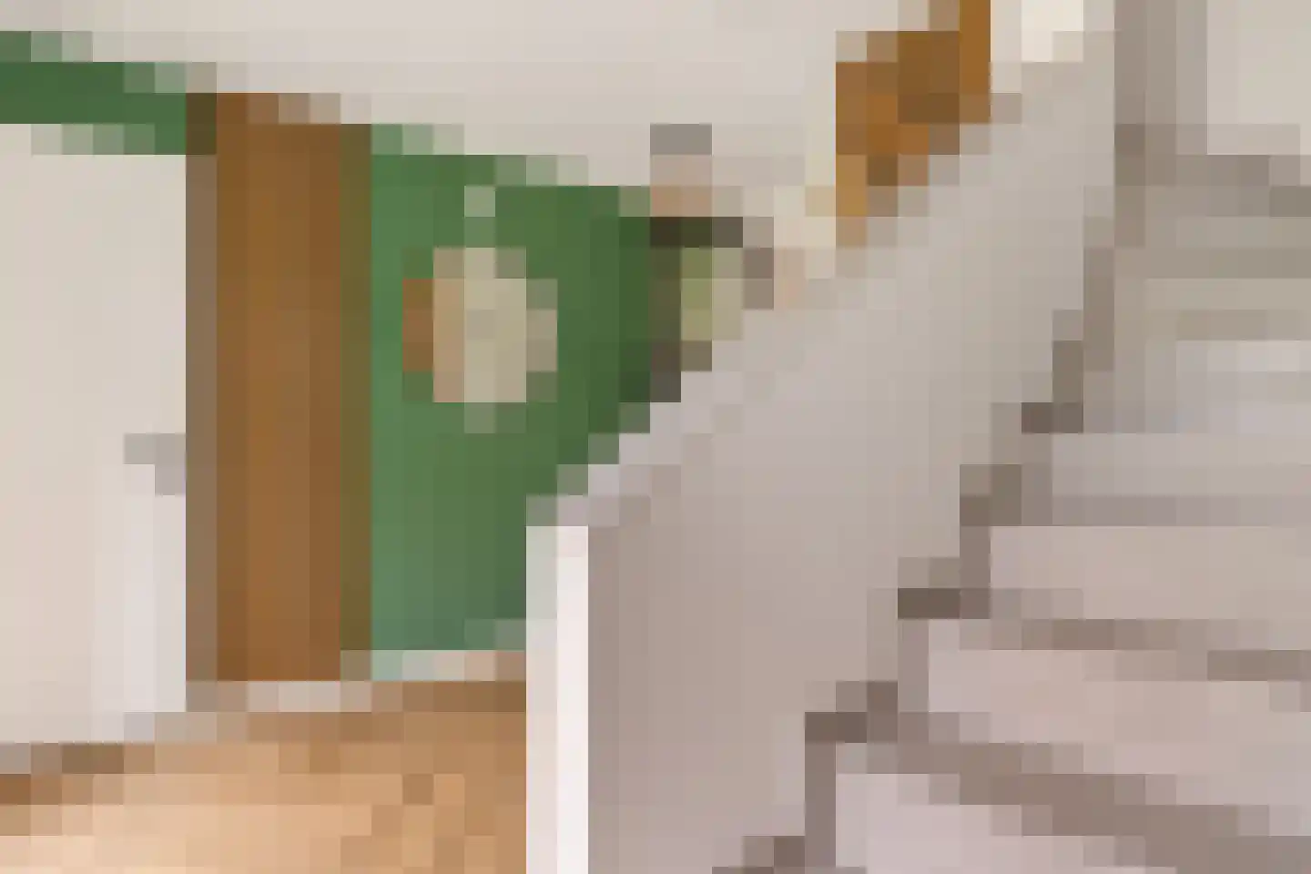 AM de Jongstraat 22 Nieuw-Vossemeer thumbnail 8