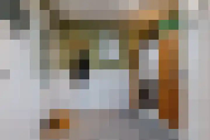 AM de Jongstraat 30 Nieuw-Vossemeer thumbnail 21