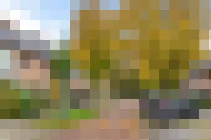Amalia van Solmslaan 13 IJsselstein thumbnail 37