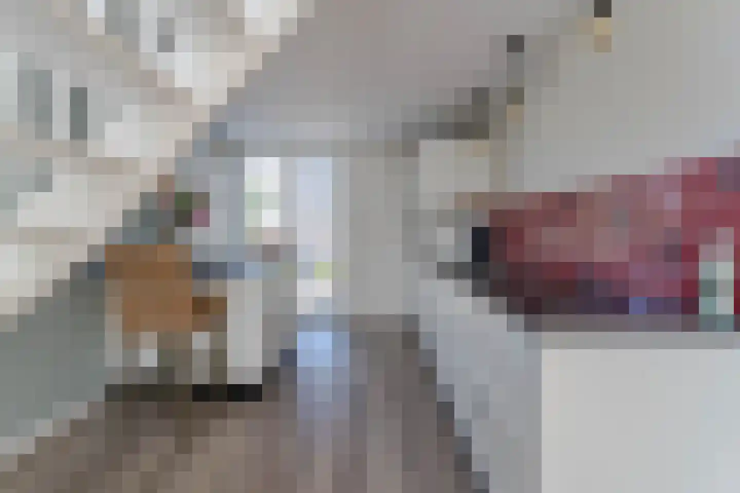 Amalia van Solmslaan 16 Hazerswoude-Dorp thumbnail 10