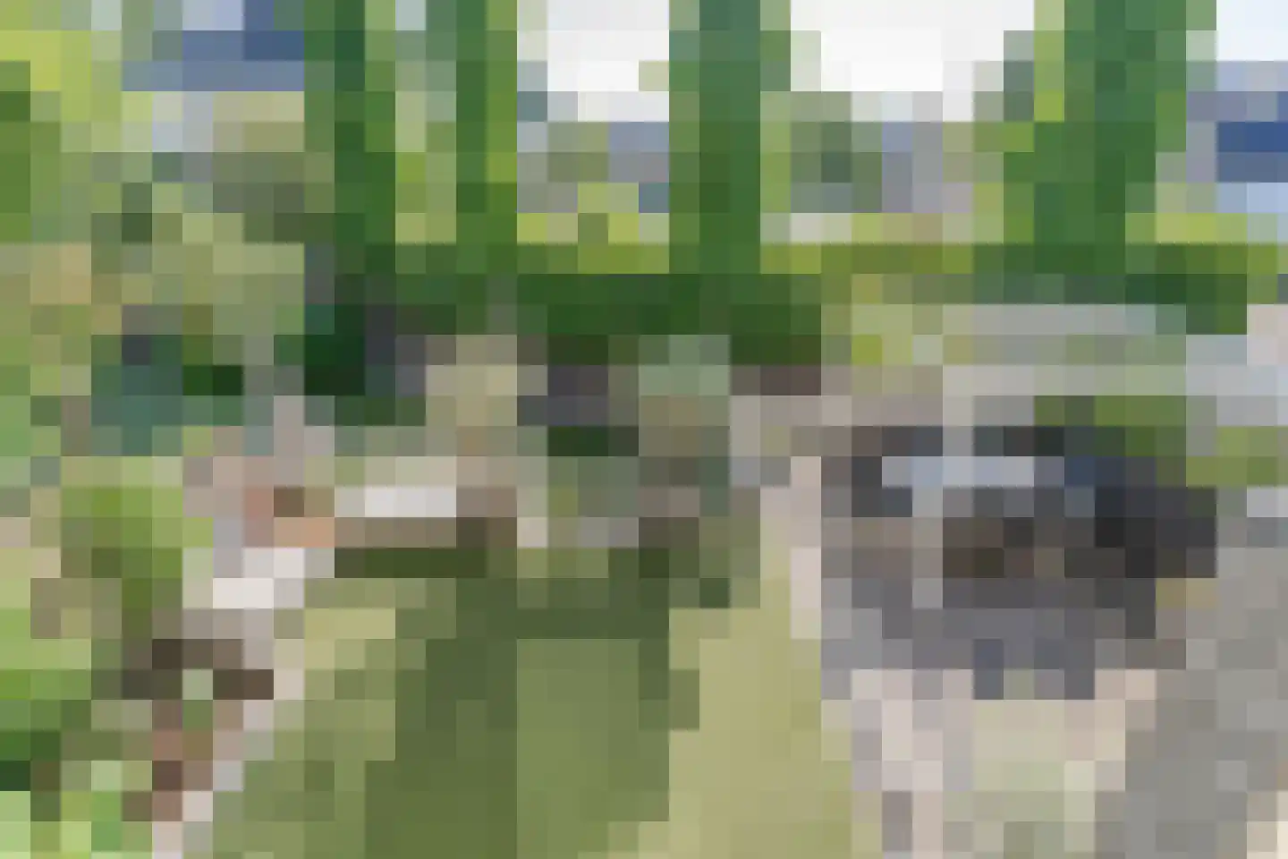 Amalia van Solmslaan 16 Hazerswoude-Dorp thumbnail 29