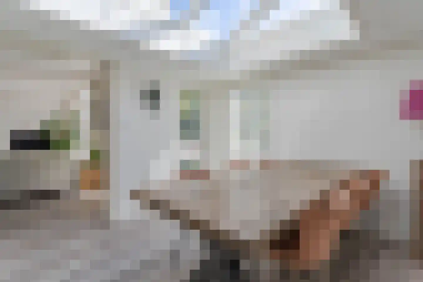 Amalia van Solmslaan 16 Hazerswoude-Dorp thumbnail 7