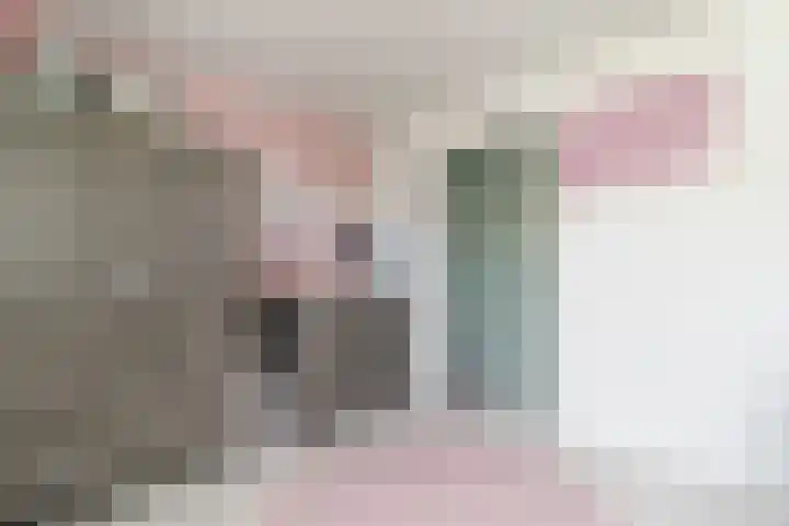 Amalia van Solmslaan 23 Grave thumbnail 4