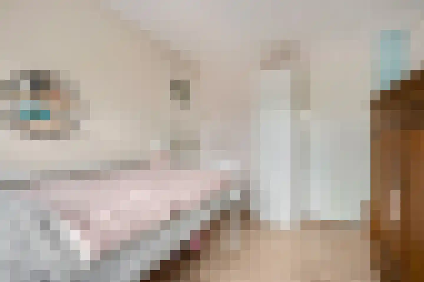 Amalia van Solmslaan 3 Ede thumbnail 25