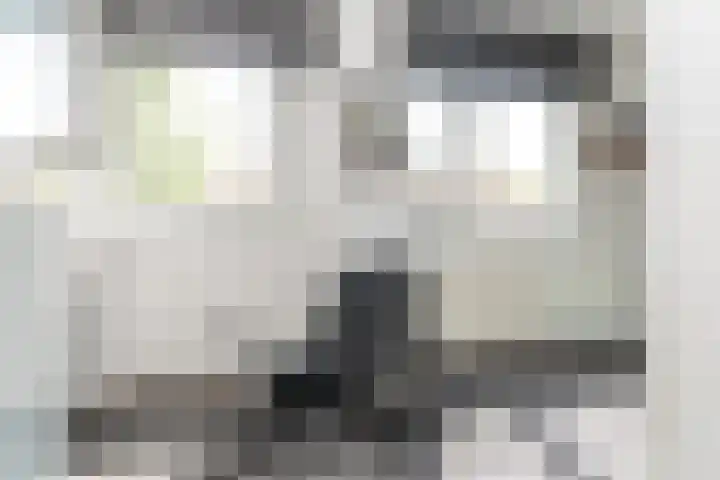 Amalia van Solmslaan 35 Grave thumbnail 28