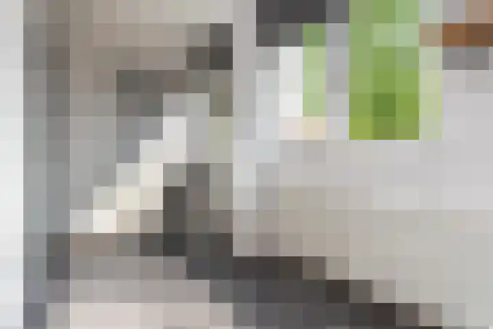 Amalia van Solmslaan 35 Grave thumbnail 30