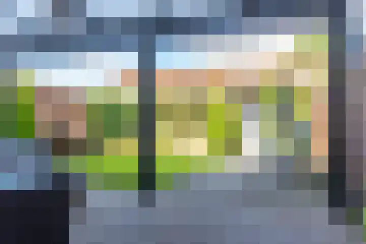 Amalia van Solmslaan 35 Grave thumbnail 35