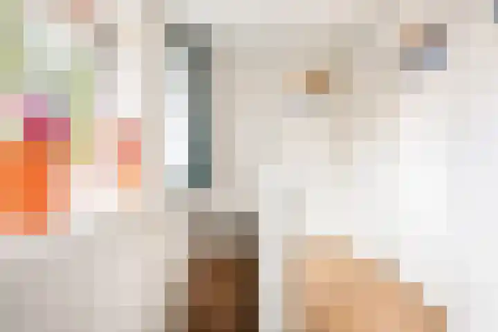 Amalia van Solmslaan 57 Zeist thumbnail 26