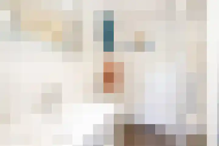 Amalia van Solmslaan 57 Zeist thumbnail 35