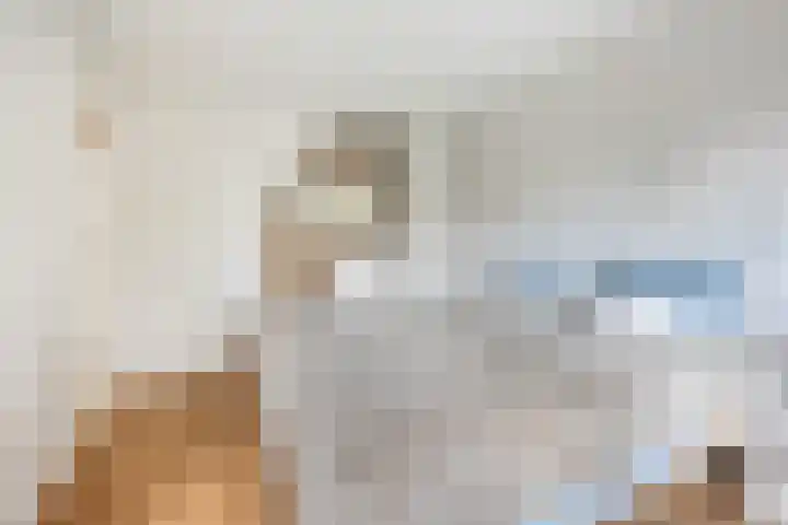 Amalia van Solmslaan 57 Zeist thumbnail 5