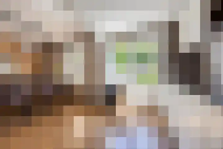 Amalia van Solmslaan 68 Grave foto 3