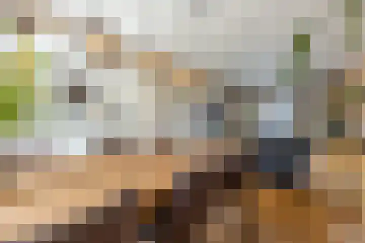 Amalia van Solmslaan 68 Grave thumbnail 6