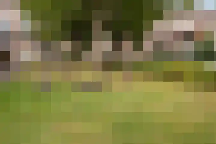 Amalia van Solmslaan 8 IJsselstein thumbnail 35
