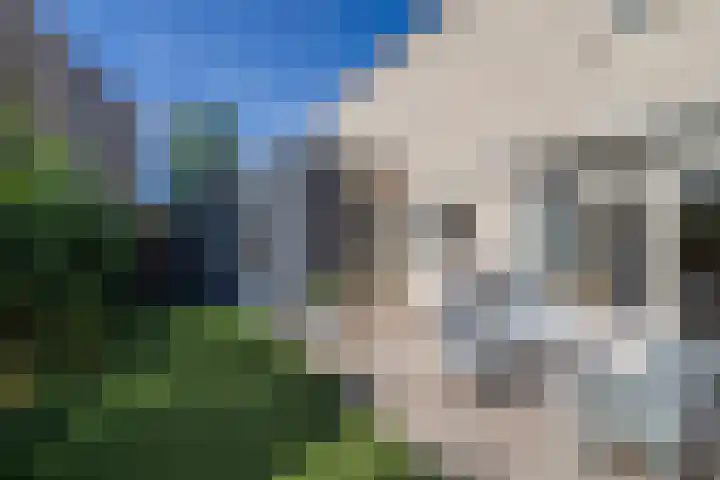 Amalia van Solmslaan 9 Hazerswoude-Dorp thumbnail 14