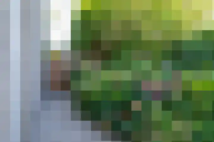 Amalia van Solmslaan 9 Hazerswoude-Dorp thumbnail 20