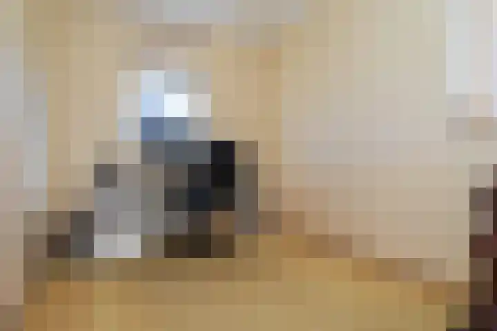 Amalia van Solmslaan 9 Hazerswoude-Dorp thumbnail 37