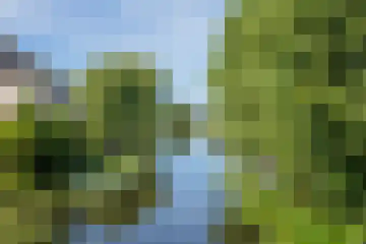 Amalia van Solmslaan 9 Hazerswoude-Dorp thumbnail 41