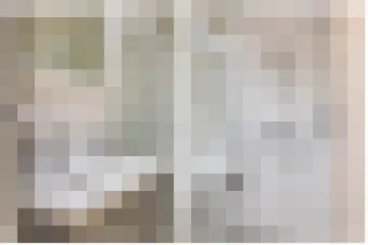 Amalia van Solmsstraat 1 M Den Haag thumbnail 14