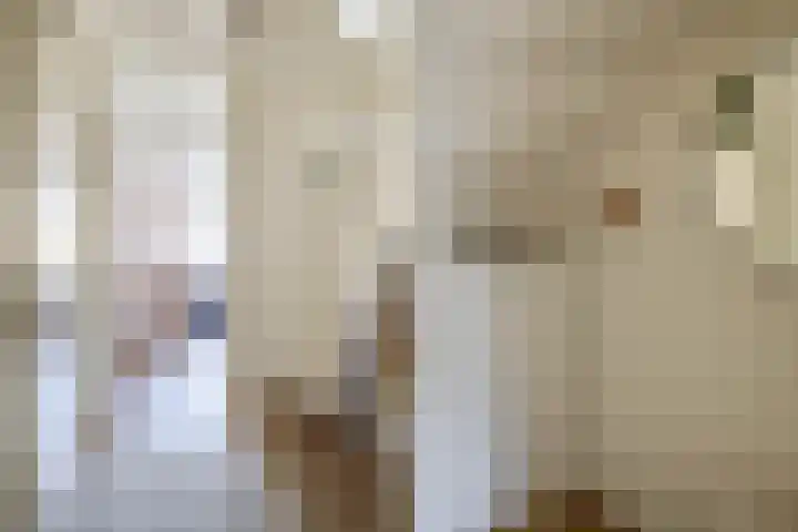 Amalia van Solmsstraat 1 M Den Haag thumbnail 17