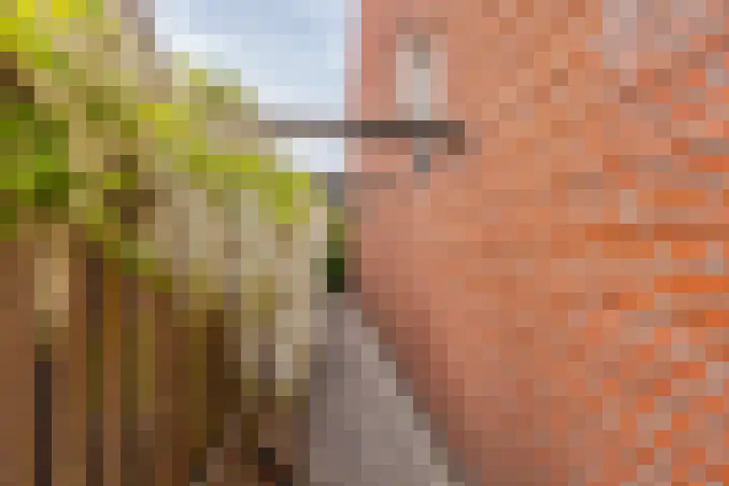 Amalia van Solmsstraat 10 Elst thumbnail 10