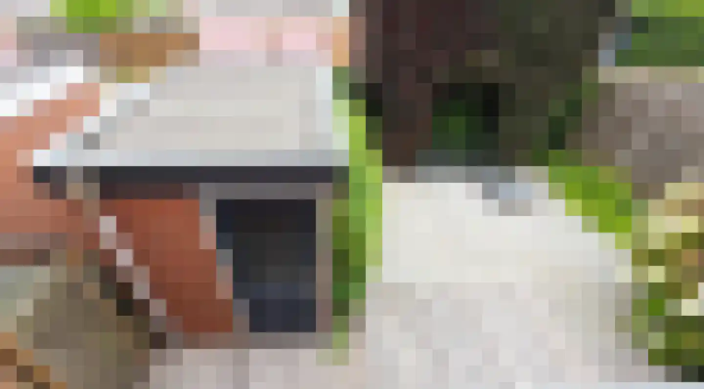 Amalia van Solmsstraat 10 Elst thumbnail 12