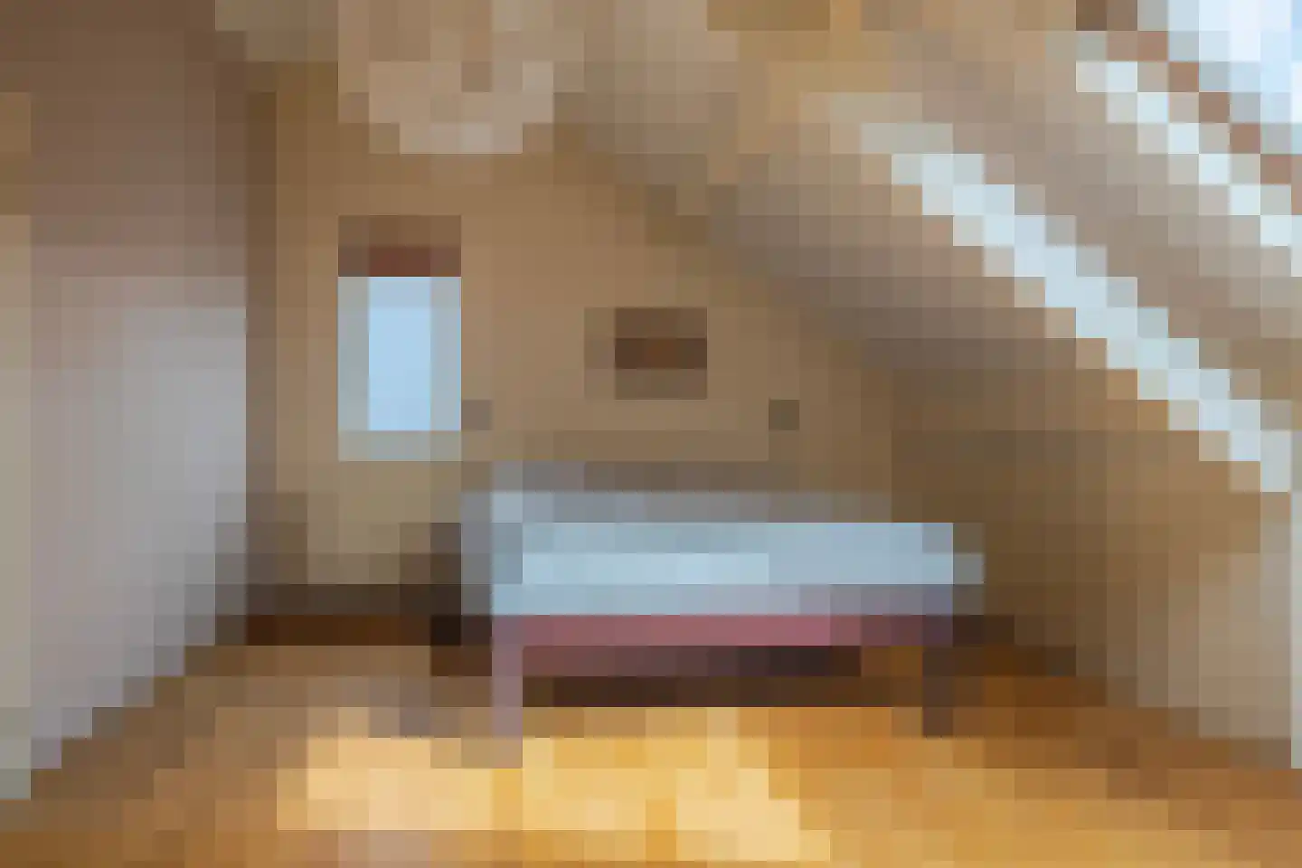 Amalia van Solmsstraat 10 Elst thumbnail 31