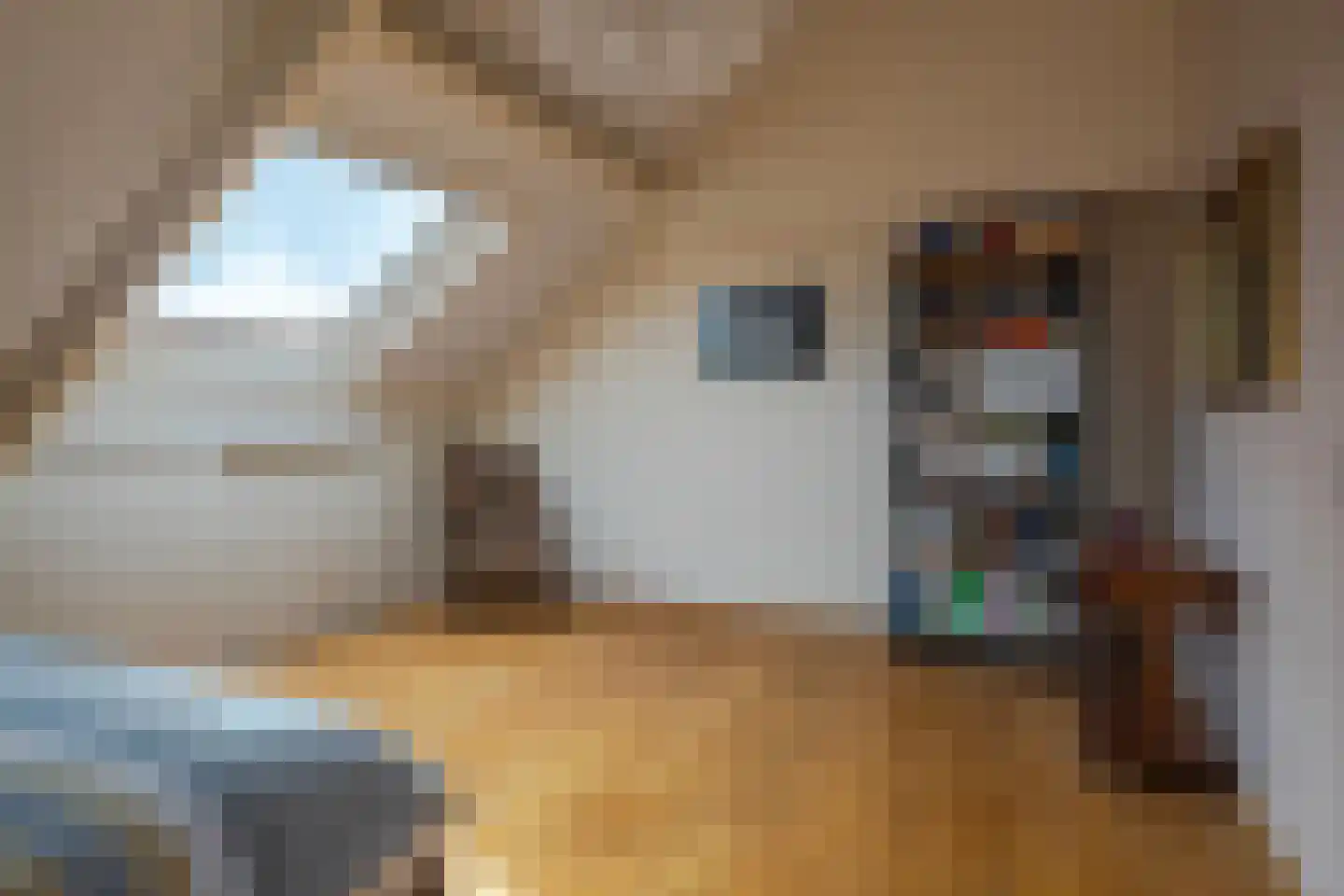 Amalia van Solmsstraat 10 Elst thumbnail 32