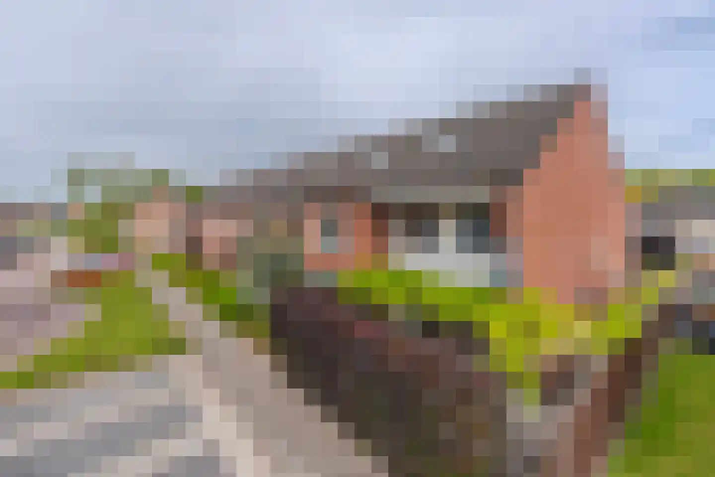 Amalia van Solmsstraat 10 Elst thumbnail 32
